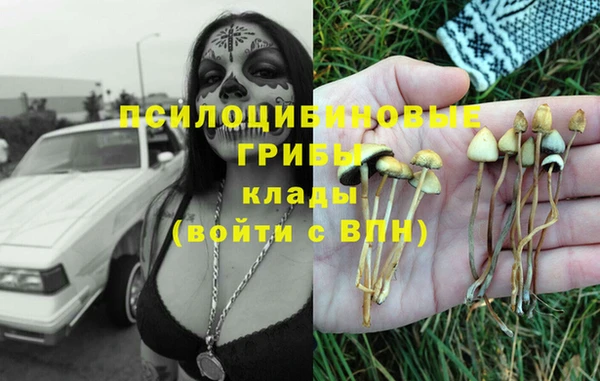 тгк Навашино