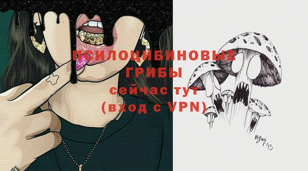 спайс Абдулино