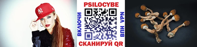 Псилоцибиновые грибы Psilocybe  KRAKEN онион  Туран 